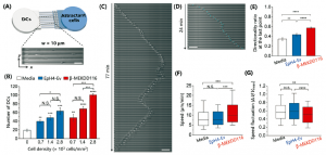 korean-chemotaxis2